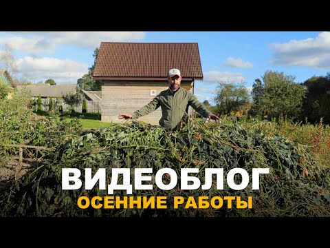 Видео: ВИДЕОБЛОГ: ВАЖНЫЕ ОСЕННИЕ РАБОТЫ. Работы в саду и огороде в осенний период.