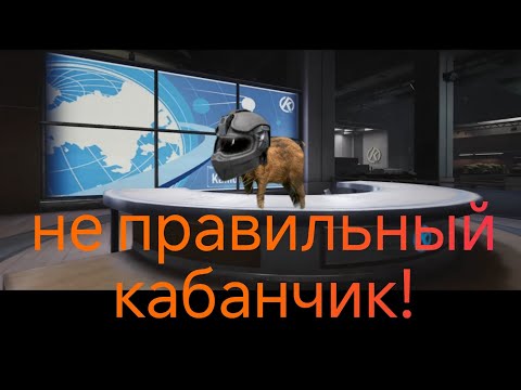 Видео: Сбежал кабанчик🤷