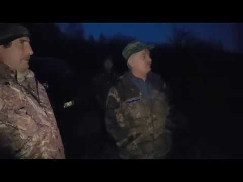 Видео: Испытания гончих собак в Борском РООиР 2018г.  Один из четырех дней