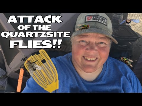Видео: АТАКА МУХ в Кварцсите! Никогда раньше не видел ничего подобного в Кварцсите!