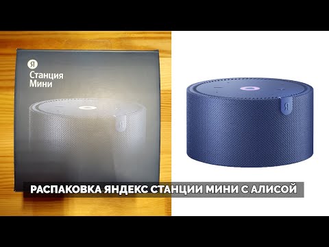 Видео: Голосовая колонка Яндекс Станция Мини | Как использовать и тесты с Алисой