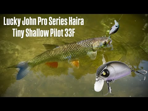 Видео: Lucky John Haira Tiny Shallow 33F|ЦЕЙ ВОБЛЕР ПРАЦЮЄ БЕЗВІДКАЗНО❗️❗️❗️