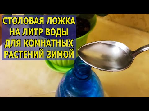 Видео: СРЕДСТВО СПАСЕНИЯ КОМНАТНЫХ РАСТЕНИЙ ОТ ПОЖЕЛТЕНИЯ ЛИСТЬЕВ ЗИМОЙ СОХНУТ ЛИСТЬЯ У РАСТЕНИЙ #garden