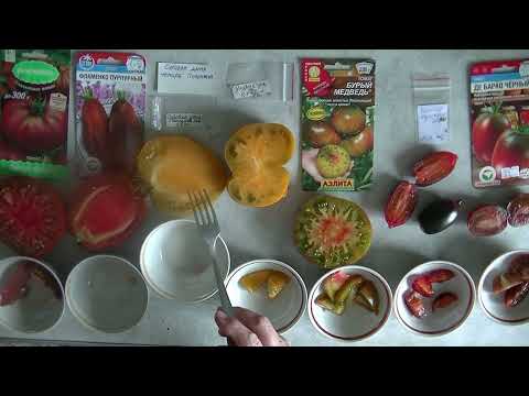 Видео: Дегустация помидоров 2025 № 34