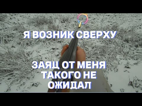 Видео: ЗАЯЦ ОТ МЕНЯ ТАКОГО НЕ ОЖИДАЛ!!! Я ВОЗНИК СВЕРХУ!!! ОХОТА НА ЗАЙЦА С РУССКОЙ ГОНЧЕЙ.