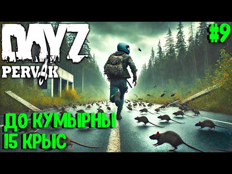 Видео: ДО КУМЫРНЫ - 15 КРЫС! СОЛО ВЫЖИВАНИЕ В DAYZ! ПРОЕКТ ПЕРВАК (PERVAK) ВЕСНА! #9