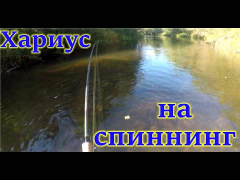 Видео: Ловля ХАРИУСА на спиннинг...