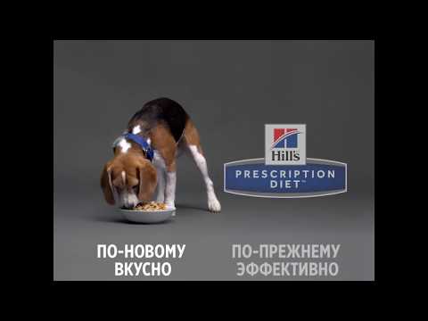 Видео: Рационы Hill's Prescription Diet в форме РАГУ!