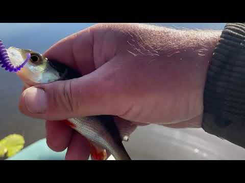 Видео: Открыл лодочный сезон