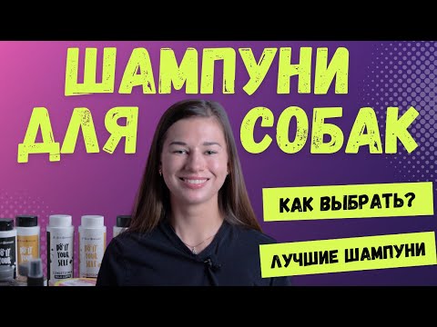 Видео: Шампунь для собак, как выбрать. Чем мыть, как мыть собаку