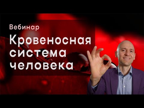 Видео: Кровеносная система: анализируем важнейшие задания ЕГЭ по биологии