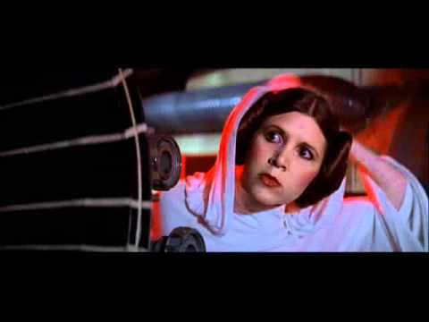 Видео: SW - Лебедь белая