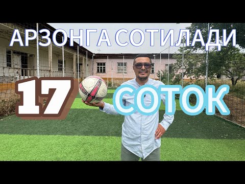 Видео: Сотилди