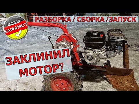Видео: МОТОБЛОК в ремонте. Клин двигателя или нет?