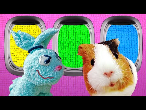 Видео: ВОЗВРАЩЕНИЕ ТИМОФЕЯ - 24 часа. Свинка Бузя
