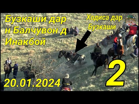 Видео: Бузкаши дар н Балчувон д Инакбой Кисми 2. 20.01.2024