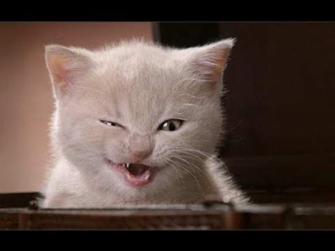 Видео: Смешная ржачная реклама. Черный юмор