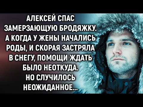 Видео: Алексей спас замерзающую бродяжку  А когда у жены начались роды…