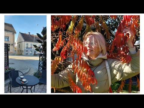 Видео: ЛАТВИЯ.САЛДУС🍁// Шоппинг с шампанским!🍾//Розенталс❤