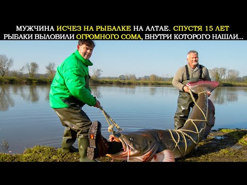 Видео: Мужчина Исчез Во Время Рыбалки на Алтае. Спустя 15 Лет Рыбаки Нашли в Желудке Огромного Сома...