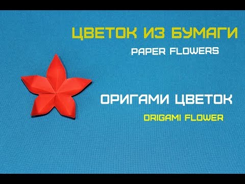 Видео: Цветы из бумаги. Paper flowers