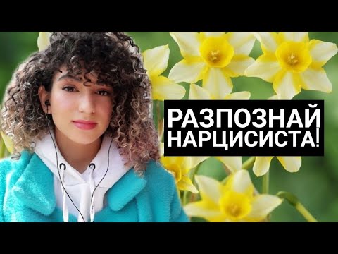 Видео: Как да разпознаем нарцисиста?