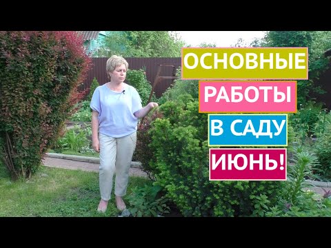 Видео: ОСНОВНЫЕ РАБОТЫ В САДУ И ОГОРОДЕ В ИЮНЕ!