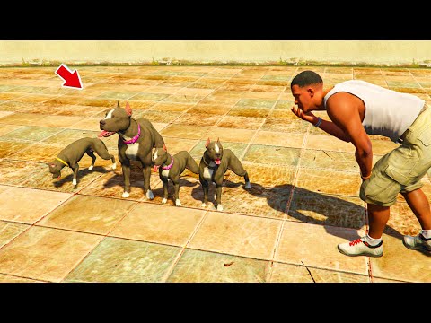 Видео: ИТІМ ДЖЕКТЫҢ ҚҰПИЯ ОТБАСЫН ТАПТЫМ (GTA V)