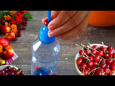 Видео: Как удалить косточку из вишни | 8 способов удаления косточек