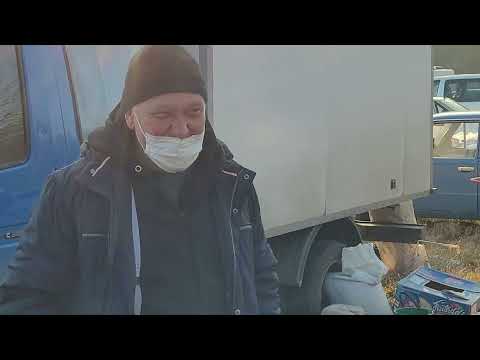 Видео: Сельские голуби. 31 10 2021г ярмарка, часть 4, г Кропоткин.