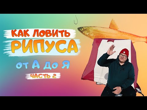 Видео: РИПУС. Как правильно ЛОВИТЬ РИПУСА зимой. Озеро Увильды. Рыбалка от А до Я. Рипус Увильды. Часть 2