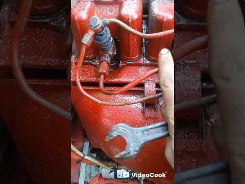 Видео: Володька крякнув. 🙅🥴🥴🥴🙆