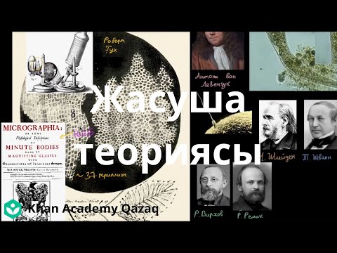 Видео: Жасуша теориясы | Жасушаларға кіріспе | Биология | Қазақ Хан Академиясы