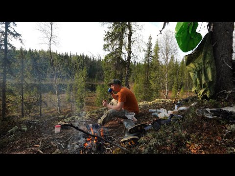 Видео: ПОХОД НА ТАЁЖНОЕ ОЗЕРО. НЕСПОКОЙНАЯ НОЧЬ.РЫБАЛКА НА ЩУКУ.
