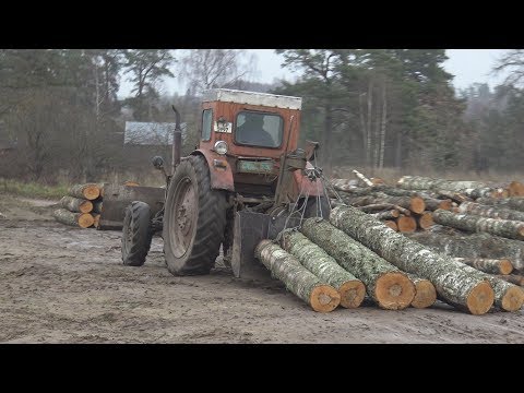 Видео: Трактор Т-40 за работой в лесу с лебедкой и лопатой
