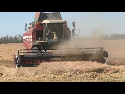 Видео: Три титана в поле: PALESSE GS12, GS12 A1 и John Deere 9640