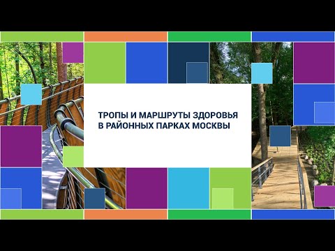 Видео: Где в Москве: Тропы и маршруты здоровья в районных парках