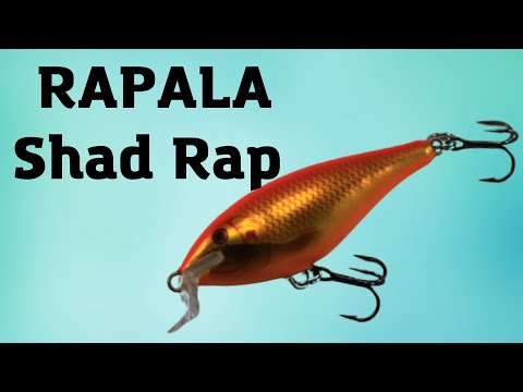 Видео: ЭТО ЛЕГЕНДА! Воблер Rapala Shad Rap