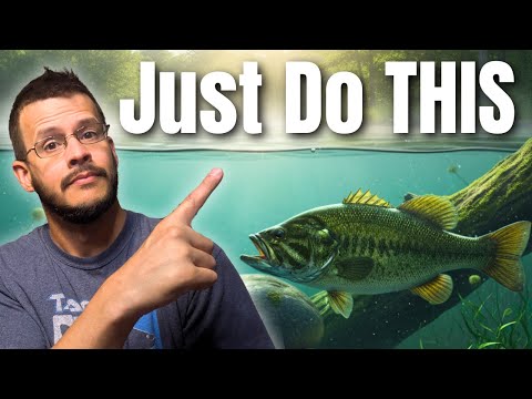Видео: 7 способов поймать больше окуня в пруду