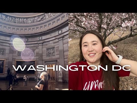 Видео: 3 ДНЯ В ВАШИНГТОНЕ DC | Путешествие с друзьями, музеи и Белый дом 🇺🇸