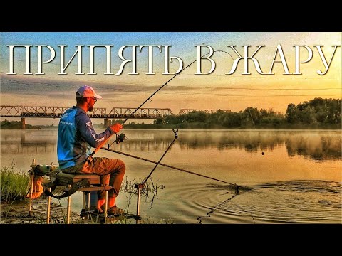 Видео: Фидер на Реке Припять! Ловля Белоглазки и Густеры в жару!