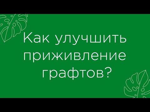 Видео: Как улучшить приживление графтов?