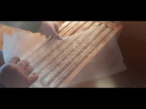 Видео: Павильон для пчёл