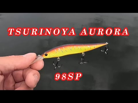 Видео: Воблер который ловит! Обзор воблера TSURINOYA 98SP. Рабочий китайский воблер с заглублением 2м!