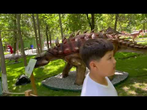 Видео: Dinopark Shymkent/ Парк Динозавров Шымкент