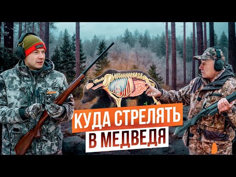 Видео: Убойные зоны медведя. Куда стрелять в медведя на охоте? Охота на медведя.
