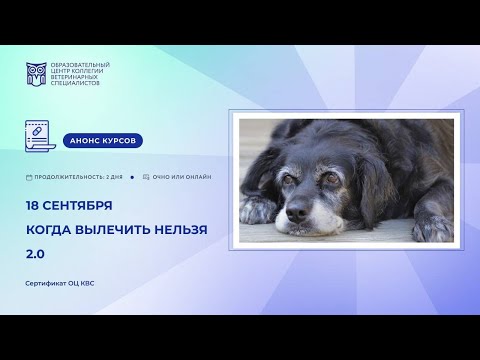 Видео: «Когда вылечить нельзя 2.0». Дарья Юсипова