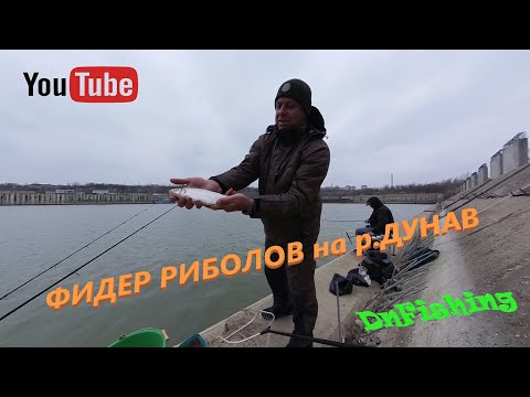 Видео: Фидер риболов на р.ДУНАВ !