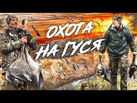 Видео: Охота на гуся. С чем мы столкнулись....?