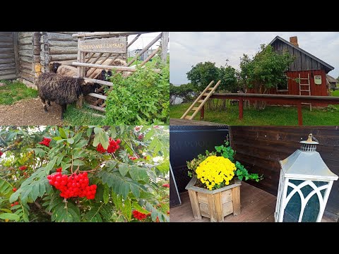 Видео: 🇪🇪Музэй пад адчыненым небам( Viimsi  Vabaõhumuuseum)🐑🐓🕯️